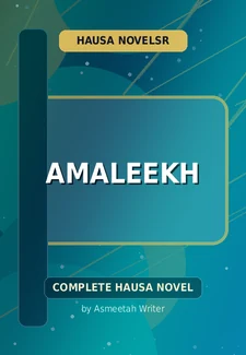 Amaleekh Complete Hausa Novel by Asmeetah Writer