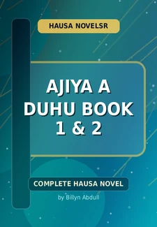 Ajiya A Duhu Book 1 & 2 Complete Hausa Novel by Billyn Abdull